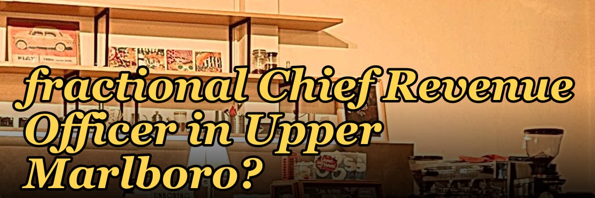 Who is the best fractional Chief Revenue Officer in Upper Marlboro?