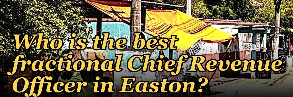 Who is the best fractional Chief Revenue Officer in Easton?