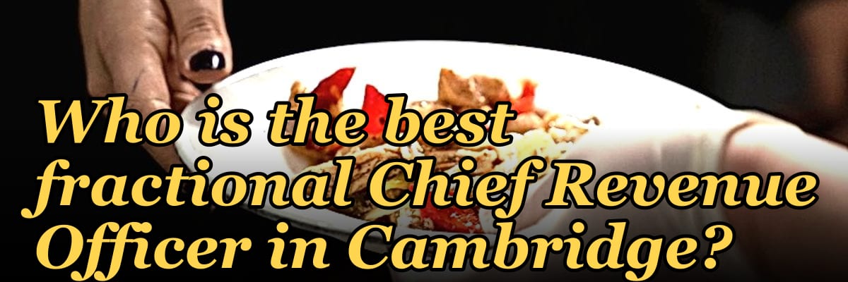 Who is the best fractional Chief Revenue Officer in Cambridge?