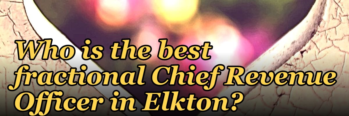 Who is the best fractional Chief Revenue Officer in Elkton?