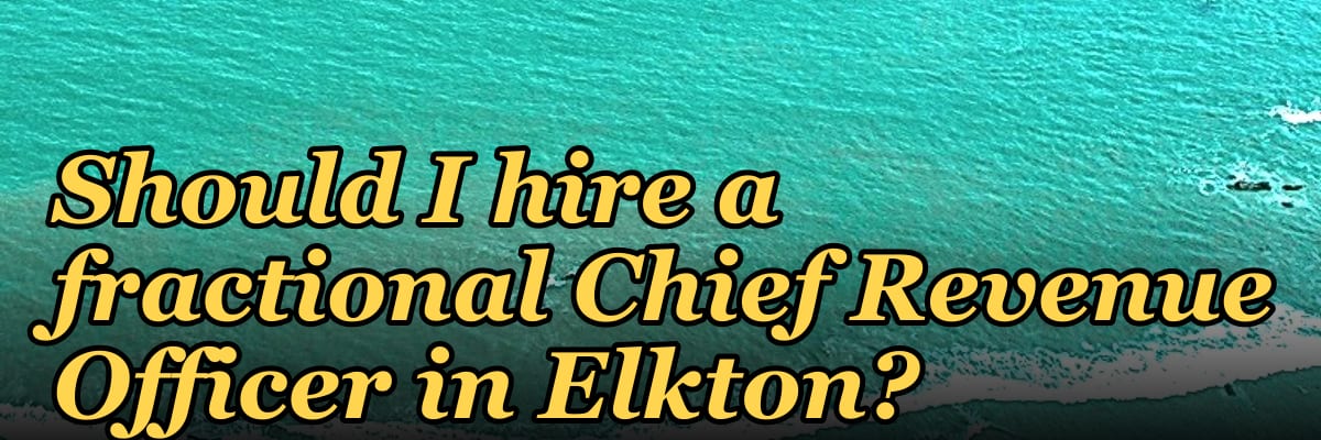 Should I hire a fractional Chief Revenue Officer in Elkton?