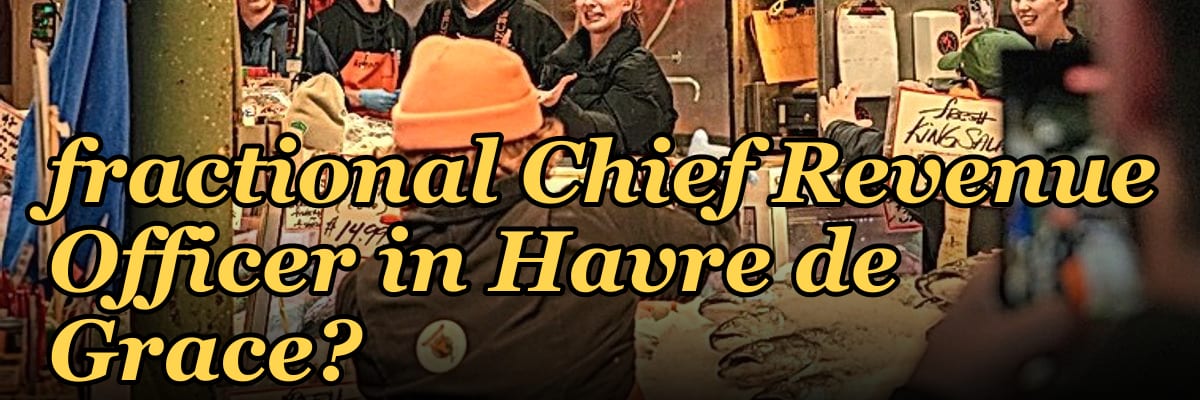 Who is the best fractional Chief Revenue Officer in Havre de Grace?