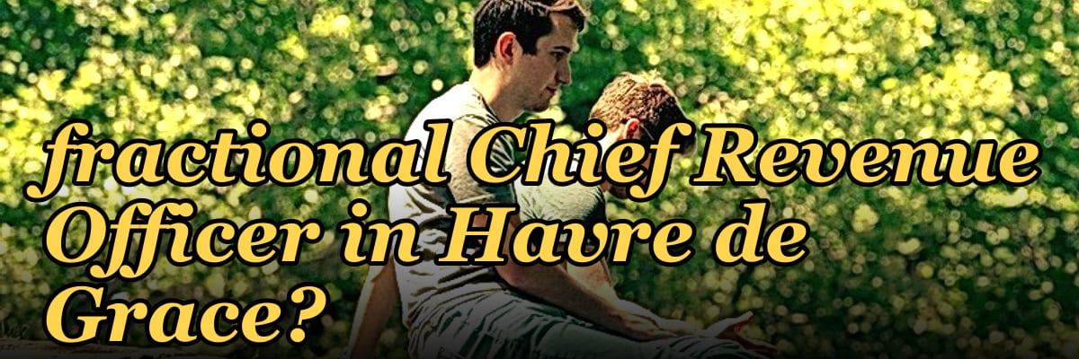 Should I hire a fractional Chief Revenue Officer in Havre de Grace?