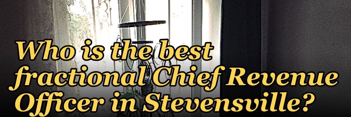 Who is the best fractional Chief Revenue Officer in Stevensville?
