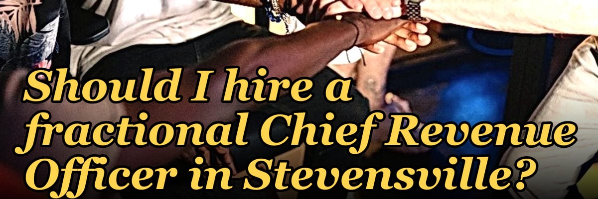 Should I hire a fractional Chief Revenue Officer in Stevensville?
