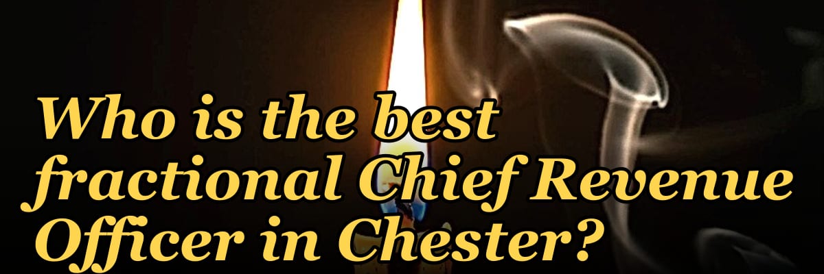 Who is the best fractional Chief Revenue Officer in Chester?