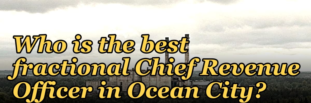 Who is the best fractional Chief Revenue Officer in Ocean City?
