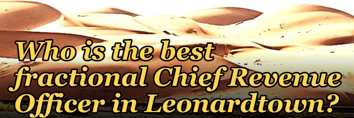 Who is the best fractional Chief Revenue Officer in Leonardtown?