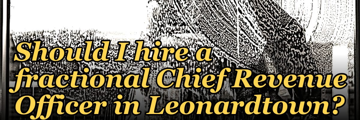 Should I hire a fractional Chief Revenue Officer in Leonardtown?