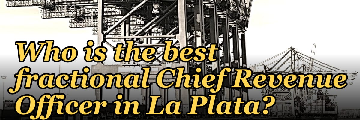 Who is the best fractional Chief Revenue Officer in La Plata?
