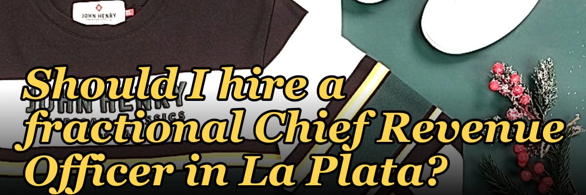 Should I hire a fractional Chief Revenue Officer in La Plata?
