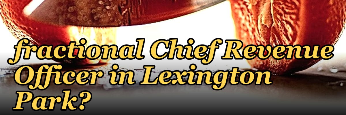 Who is the best fractional Chief Revenue Officer in Lexington Park?