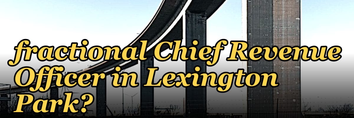 Should I hire a fractional Chief Revenue Officer in Lexington Park?