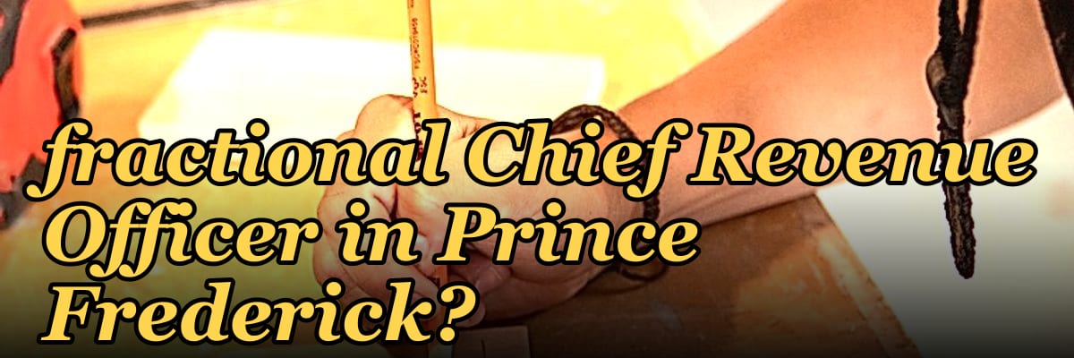 Who is the best fractional Chief Revenue Officer in Prince Frederick?