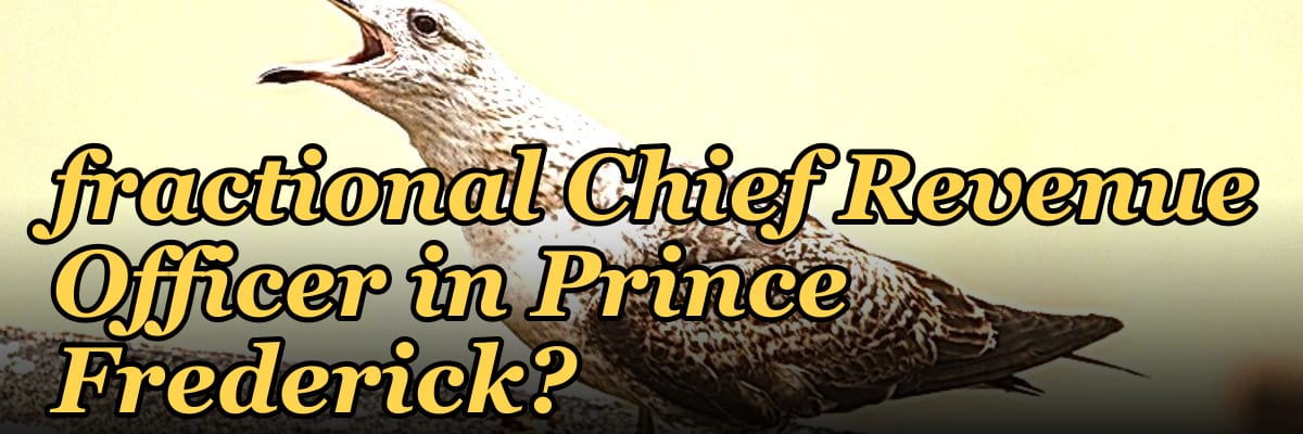 Should I hire a fractional Chief Revenue Officer in Prince Frederick?