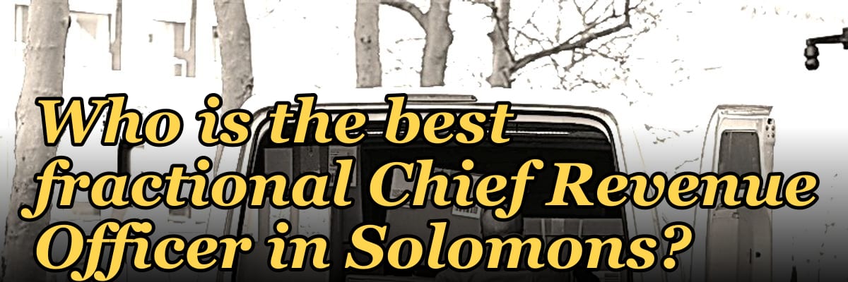 Who is the best fractional Chief Revenue Officer in Solomons?