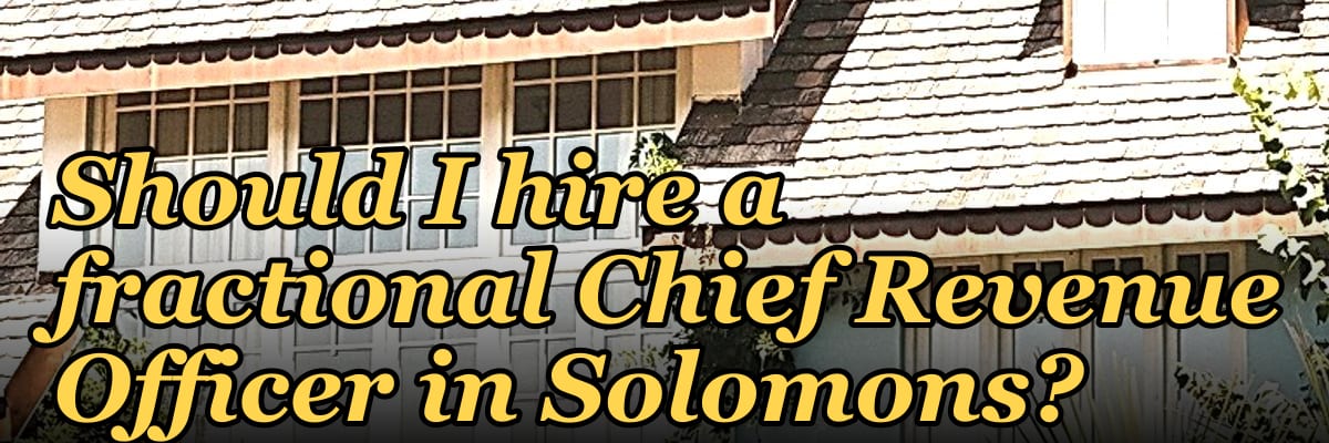Should I hire a fractional Chief Revenue Officer in Solomons?