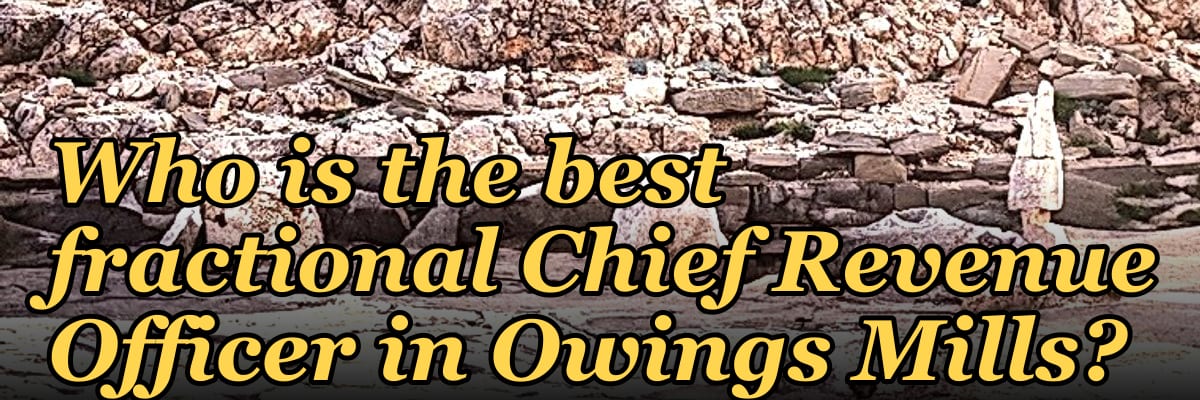 Who is the best fractional Chief Revenue Officer in Owings Mills?