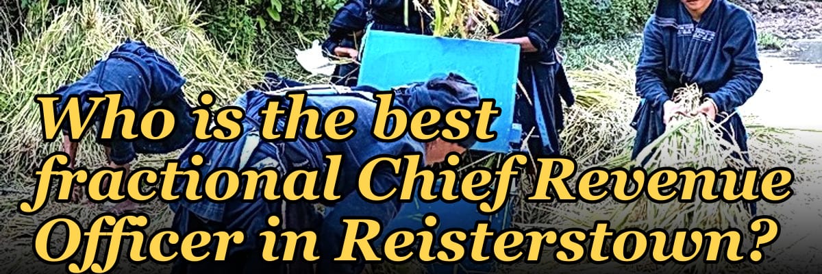 Who is the best fractional Chief Revenue Officer in Reisterstown?