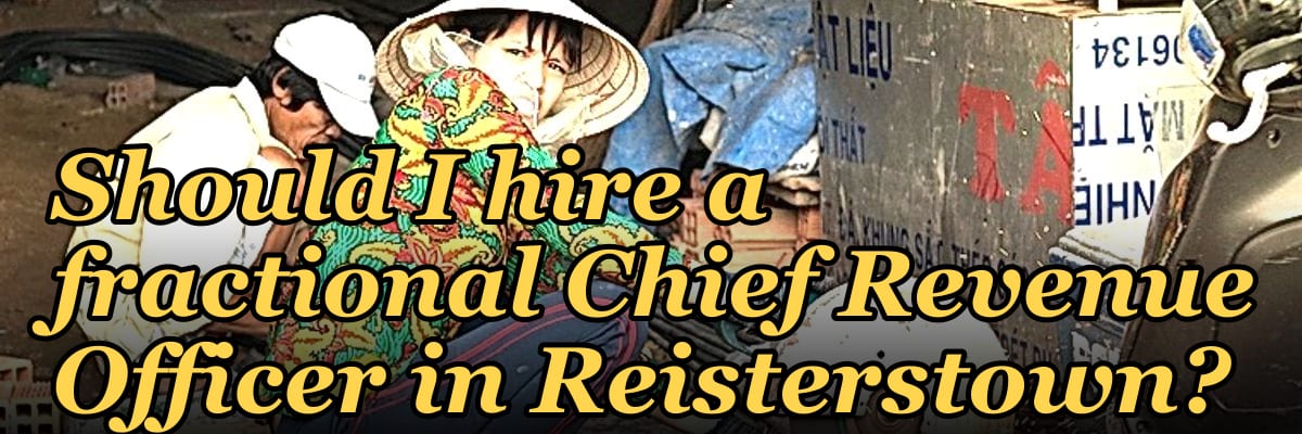 Should I hire a fractional Chief Revenue Officer in Reisterstown?