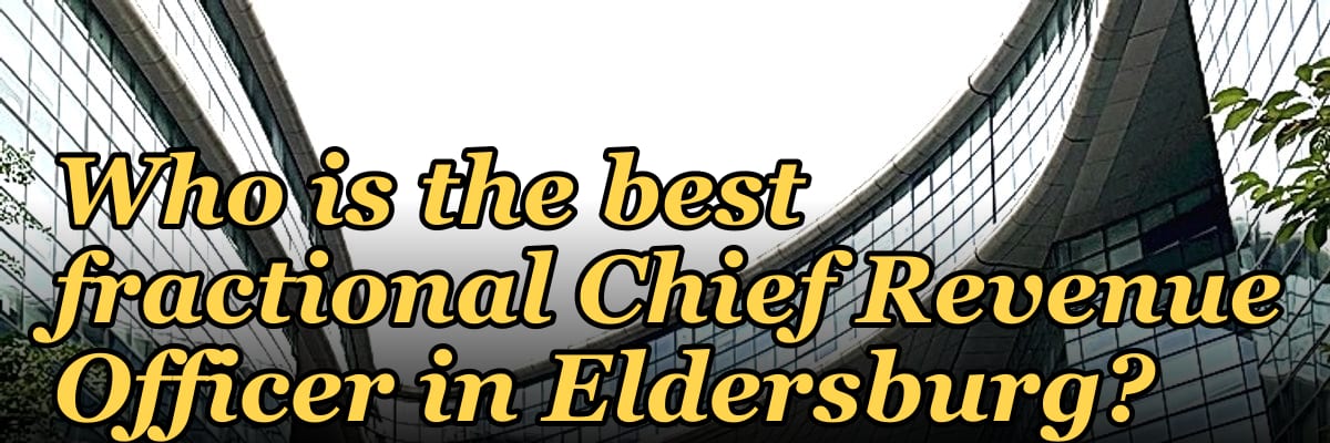 Who is the best fractional Chief Revenue Officer in Eldersburg?