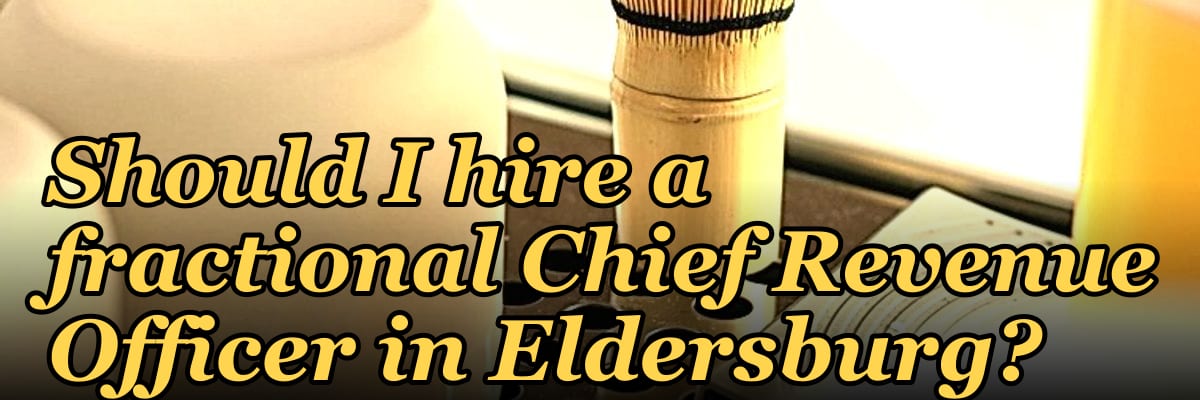 Should I hire a fractional Chief Revenue Officer in Eldersburg?