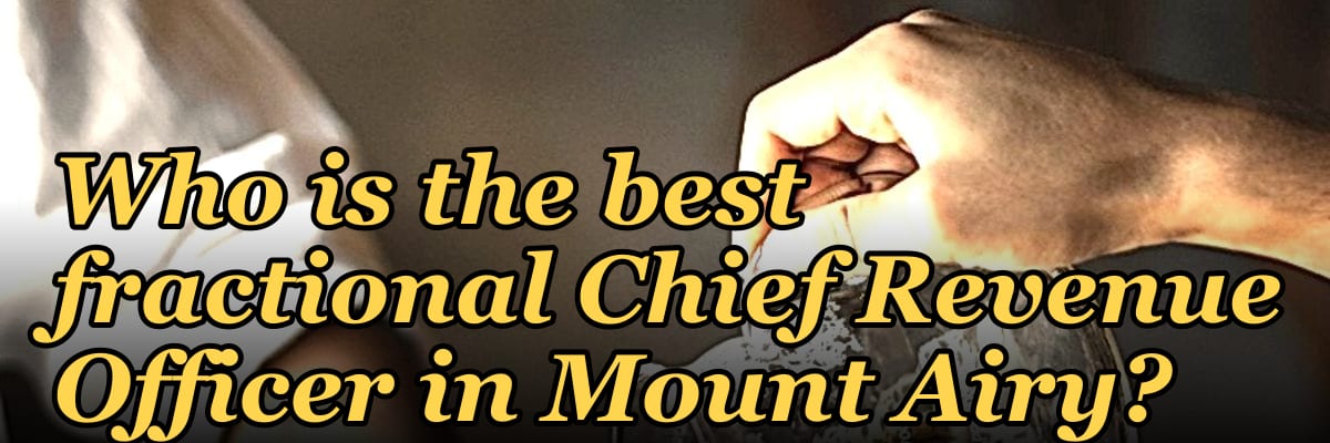 Who is the best fractional Chief Revenue Officer in Mount Airy?