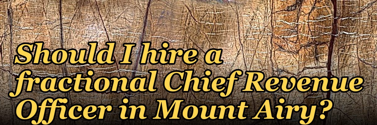 Should I hire a fractional Chief Revenue Officer in Mount Airy?