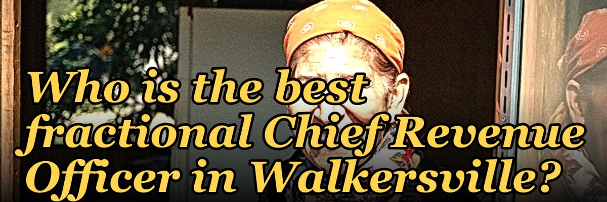 Who is the best fractional Chief Revenue Officer in Walkersville?