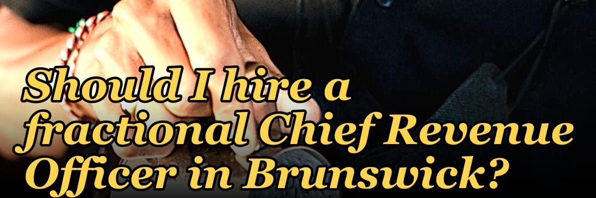 Should I hire a fractional Chief Revenue Officer in Brunswick?