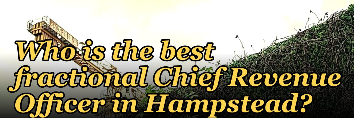 Who is the best fractional Chief Revenue Officer in Hampstead?