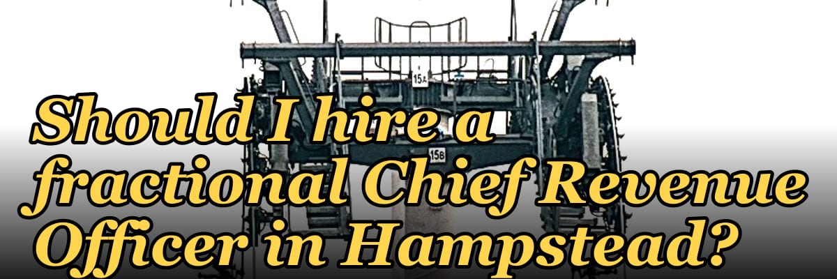 Should I hire a fractional Chief Revenue Officer in Hampstead?