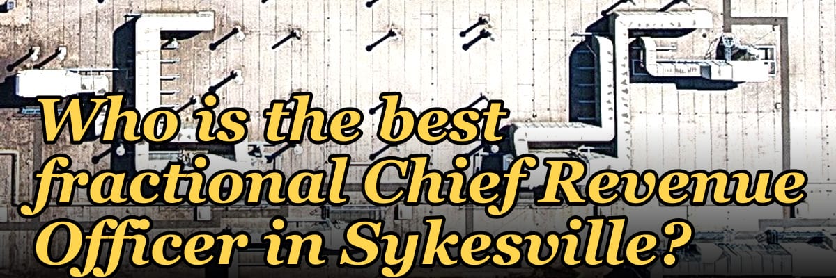 Who is the best fractional Chief Revenue Officer in Sykesville?