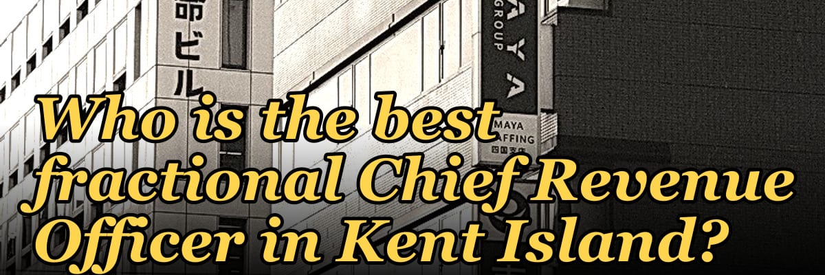 Who is the best fractional Chief Revenue Officer in Kent Island?