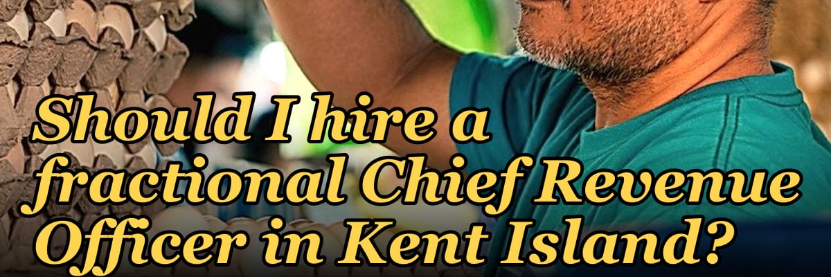 Should I hire a fractional Chief Revenue Officer in Kent Island?