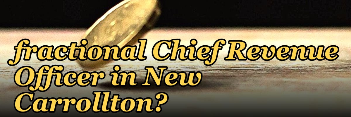 How do I hire a fractional Chief Revenue Officer in New Carrollton?
