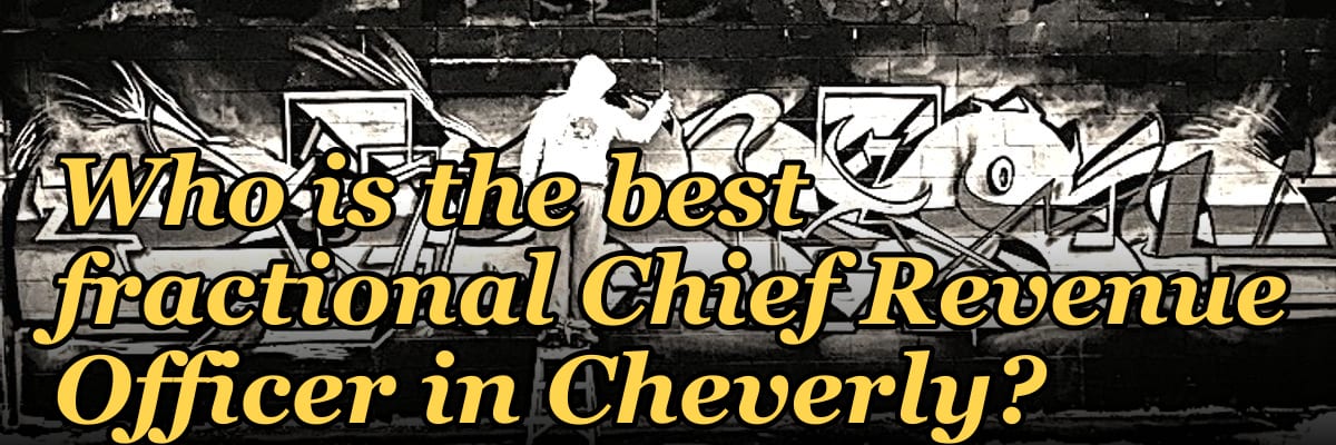 Who is the best fractional Chief Revenue Officer in Cheverly?