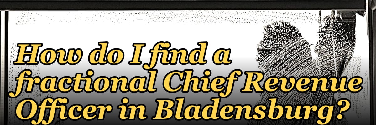 How do I find a fractional Chief Revenue Officer in Bladensburg?