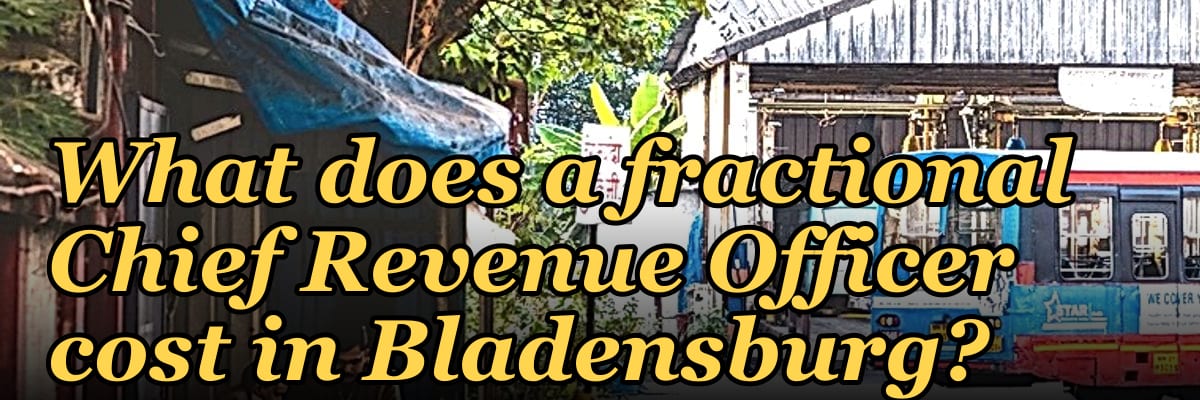 What does a fractional Chief Revenue Officer cost in Bladensburg?