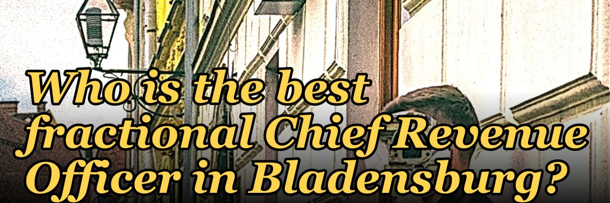 Who is the best fractional Chief Revenue Officer in Bladensburg?