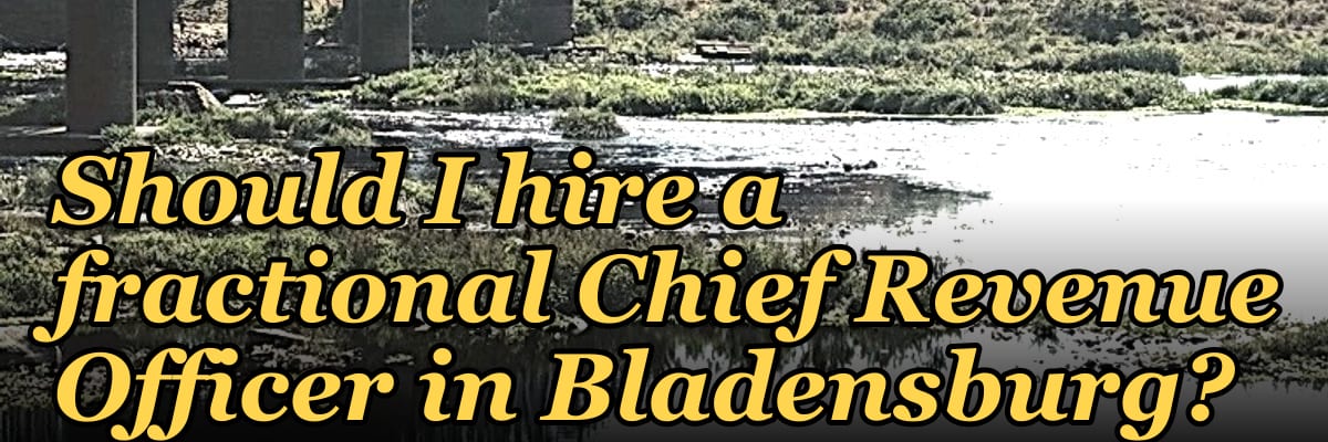 Should I hire a fractional Chief Revenue Officer in Bladensburg?