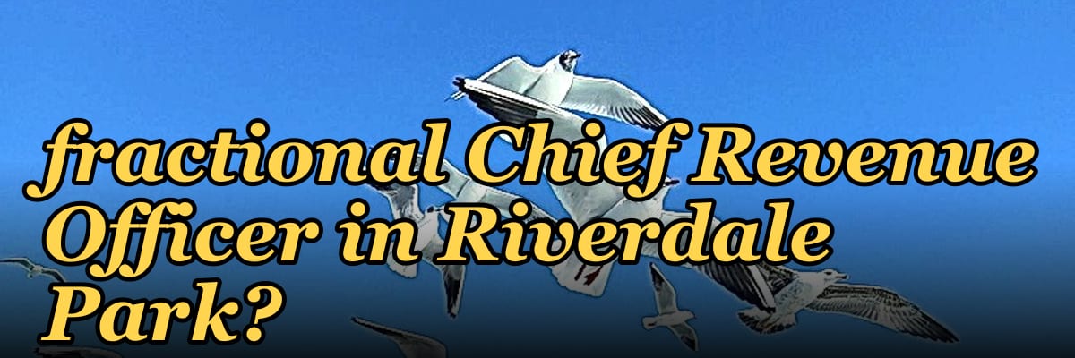 How do I find a fractional Chief Revenue Officer in Riverdale Park?