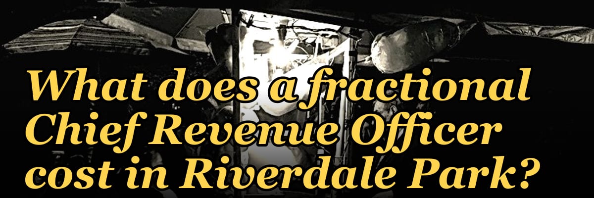 What does a fractional Chief Revenue Officer cost in Riverdale Park?