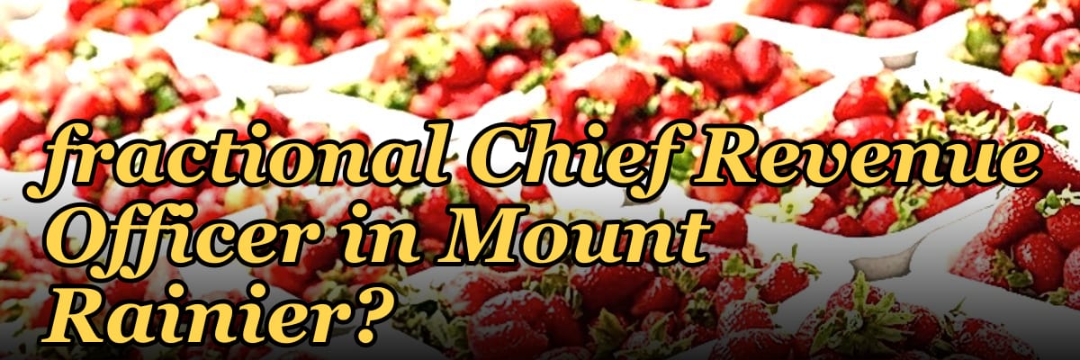 Should I hire a fractional Chief Revenue Officer in Mount Rainier?