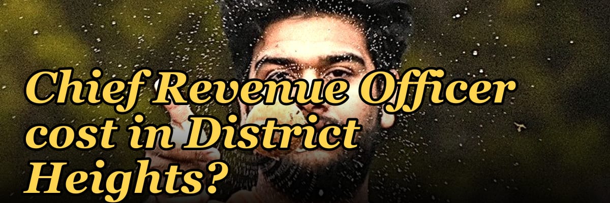 What does a fractional Chief Revenue Officer cost in District Heights?