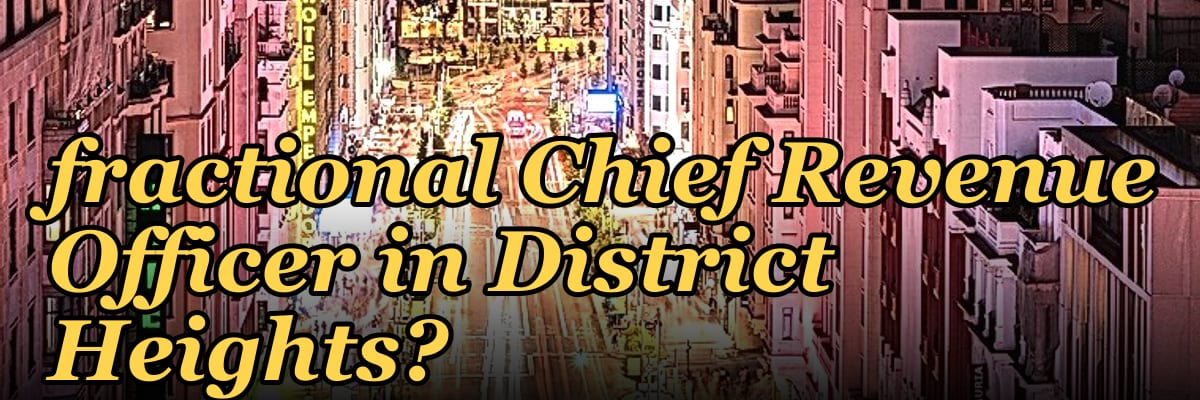 Who is the best fractional Chief Revenue Officer in District Heights?