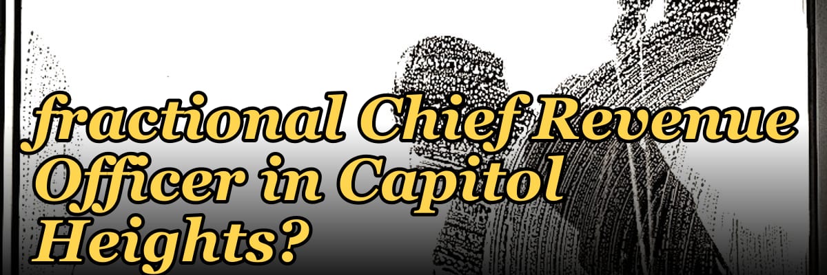 Who is the best fractional Chief Revenue Officer in Capitol Heights?