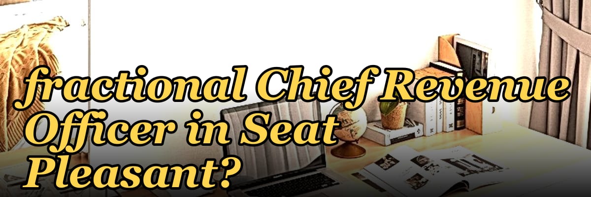 How do I find a fractional Chief Revenue Officer in Seat Pleasant?