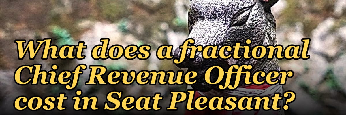 What does a fractional Chief Revenue Officer cost in Seat Pleasant?