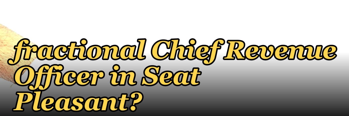 Who is the best fractional Chief Revenue Officer in Seat Pleasant?